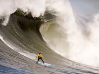 开云官网-鹈鹕展翅提前终结悬念，戈贝尔化身关键先生锁定深圳队命运