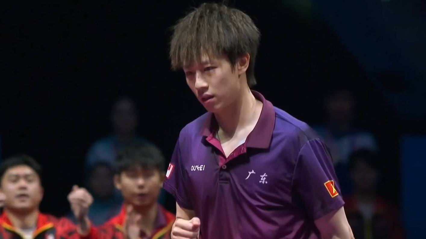 德国队轻取法国队，林高远高光表现的简单介绍